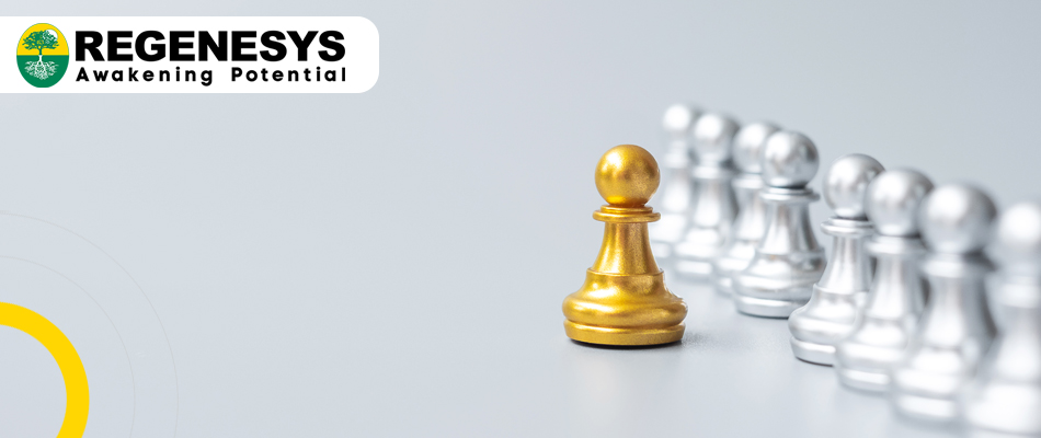 Master in Business Administration courses - Regenesys