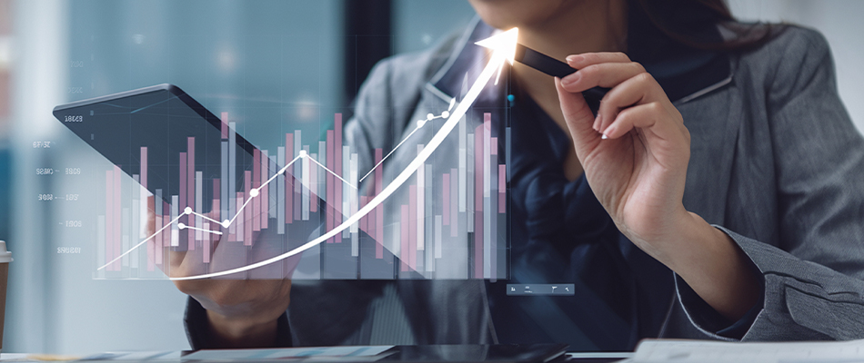 What is a PMO Analyst